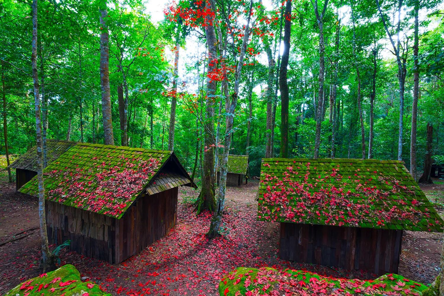 Phitsanulok Flower falls, Thailand